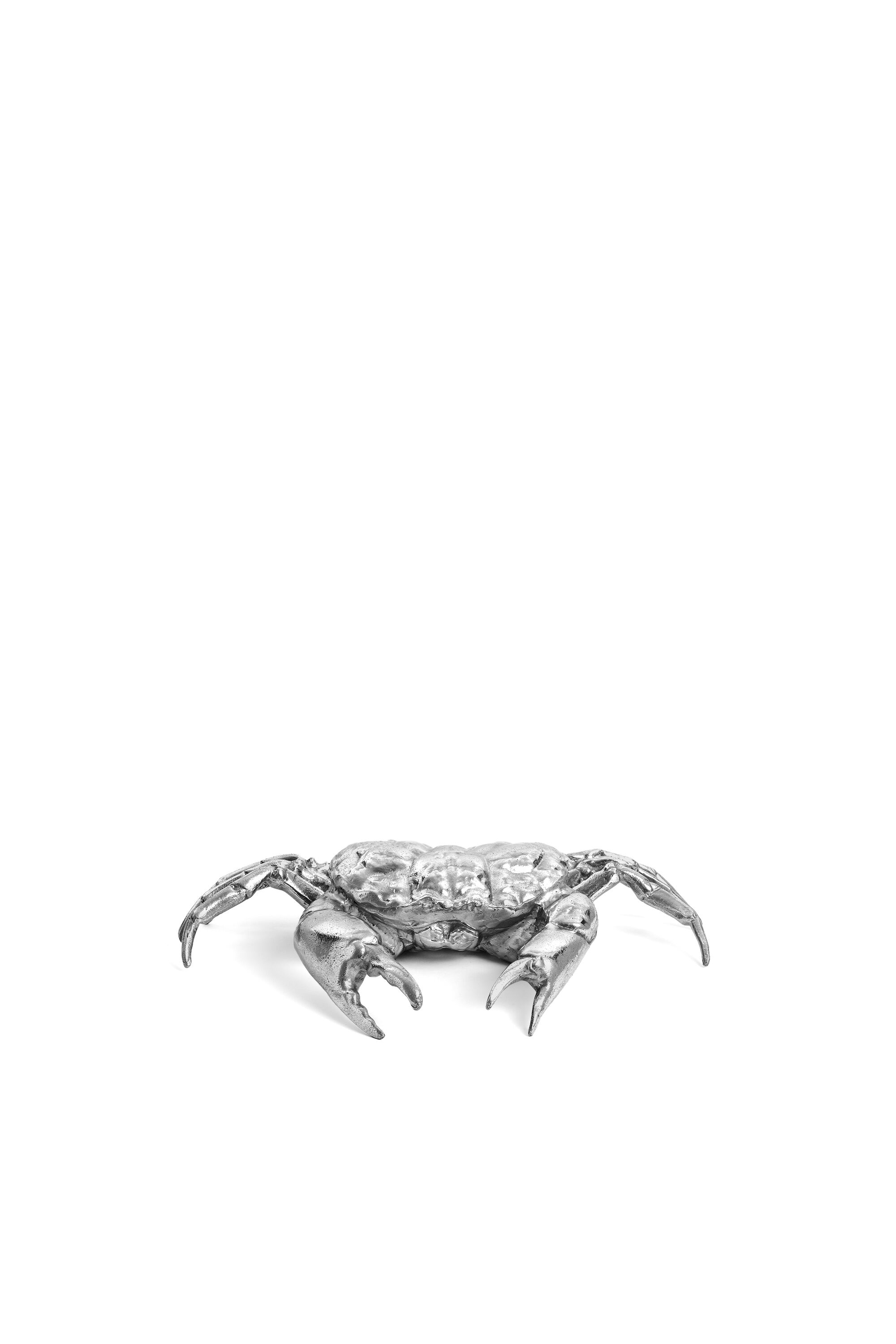 Diesel - 10897 WUNDERKAMMER, Unisex's Wunderkammer "Holy crab home" in Silver - 1