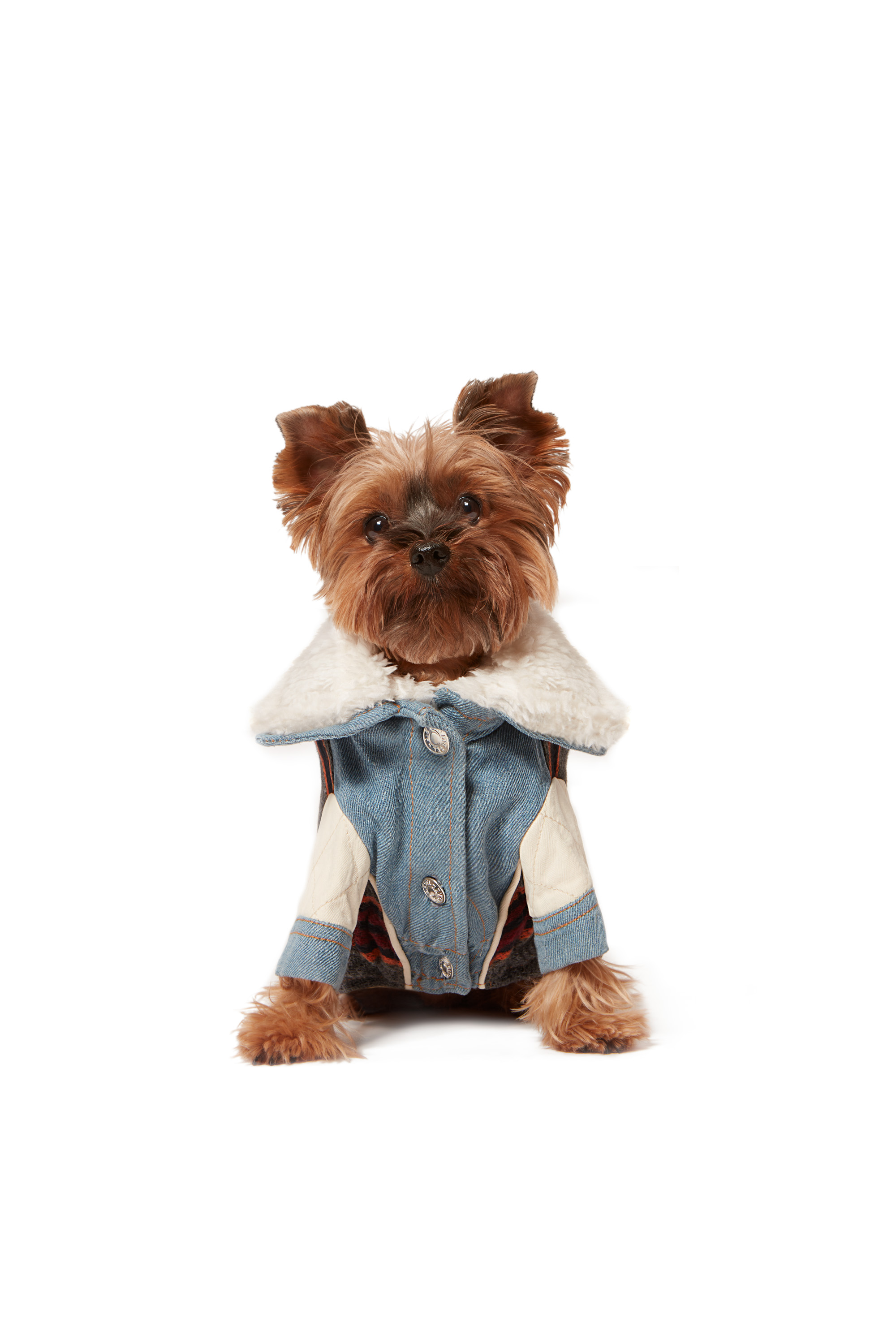 Diesel - PET-ED, Light Blue - Image 3