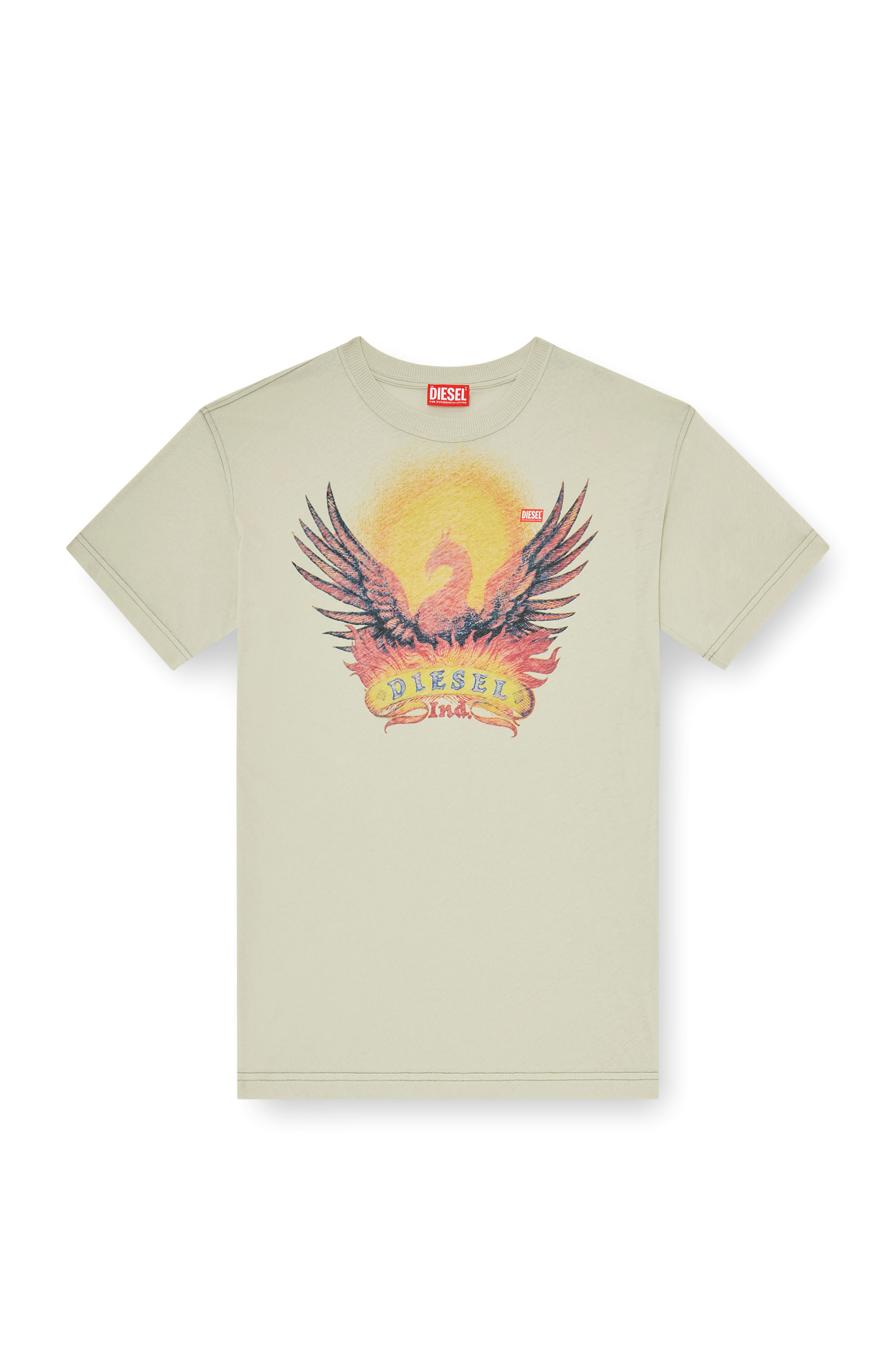 Diesel - T-NORM-AA1, Man's Regular T-shirt with Phoenix print in null - 2